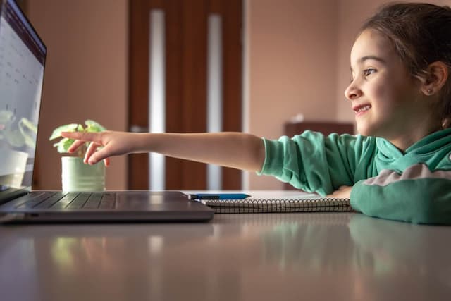 Exploring the Different Career Paths in the Tech Industry